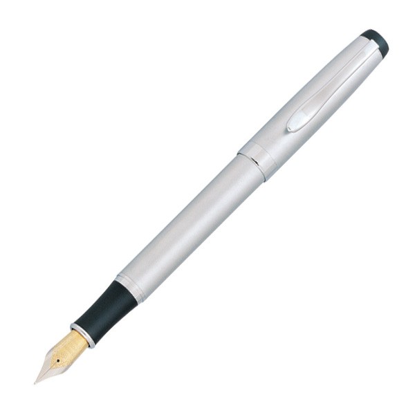 Marbleized Matte Silver Metal Fountain Pen