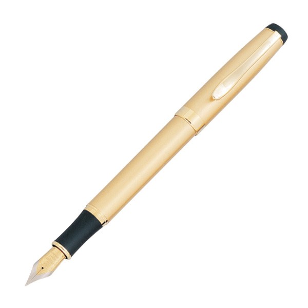 Matte Gold Fountain Pen