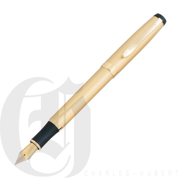 Matte Gold Fountain Pen